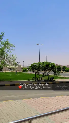 #اكسبلور_تيك_توك 