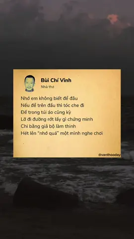 #nhatho #buichivinh #vanthooday #story #fpy #xh #xuhuong #vanhoc #trichdanhay 