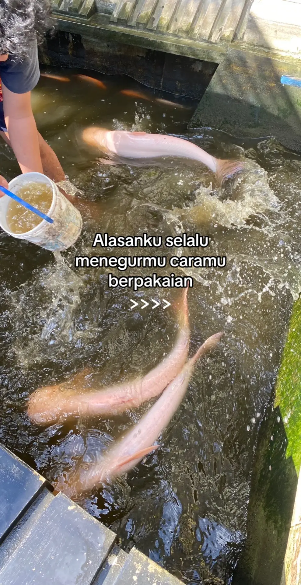 #Bassr 