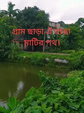 গ্রাম ছাড়া ঐ রাঙা মাটির পথ আমার মন ভুলায় রে।@TikTok #bdtiktokofficial @TikTok Bangladesh 
