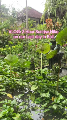 Last sunrise in Bali #Summer #travel #bali #sunrise #hike 