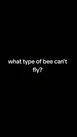 share to ur 2@ if u don't get it #humour #memes #funny #darkhumour #bee #dark 