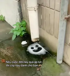 For you 🫶🏻#foryou #funnyvideos #funnymoments #cute #happylife #viral 