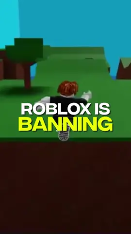 Dangerous Roblox Username #roblox #banned #robloxban #gaming #viral #fyp #bbgsquad 