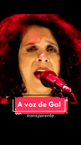Maria Bethânia falando da voz de Gal Costa ❤️ #mariabethania #galcosta