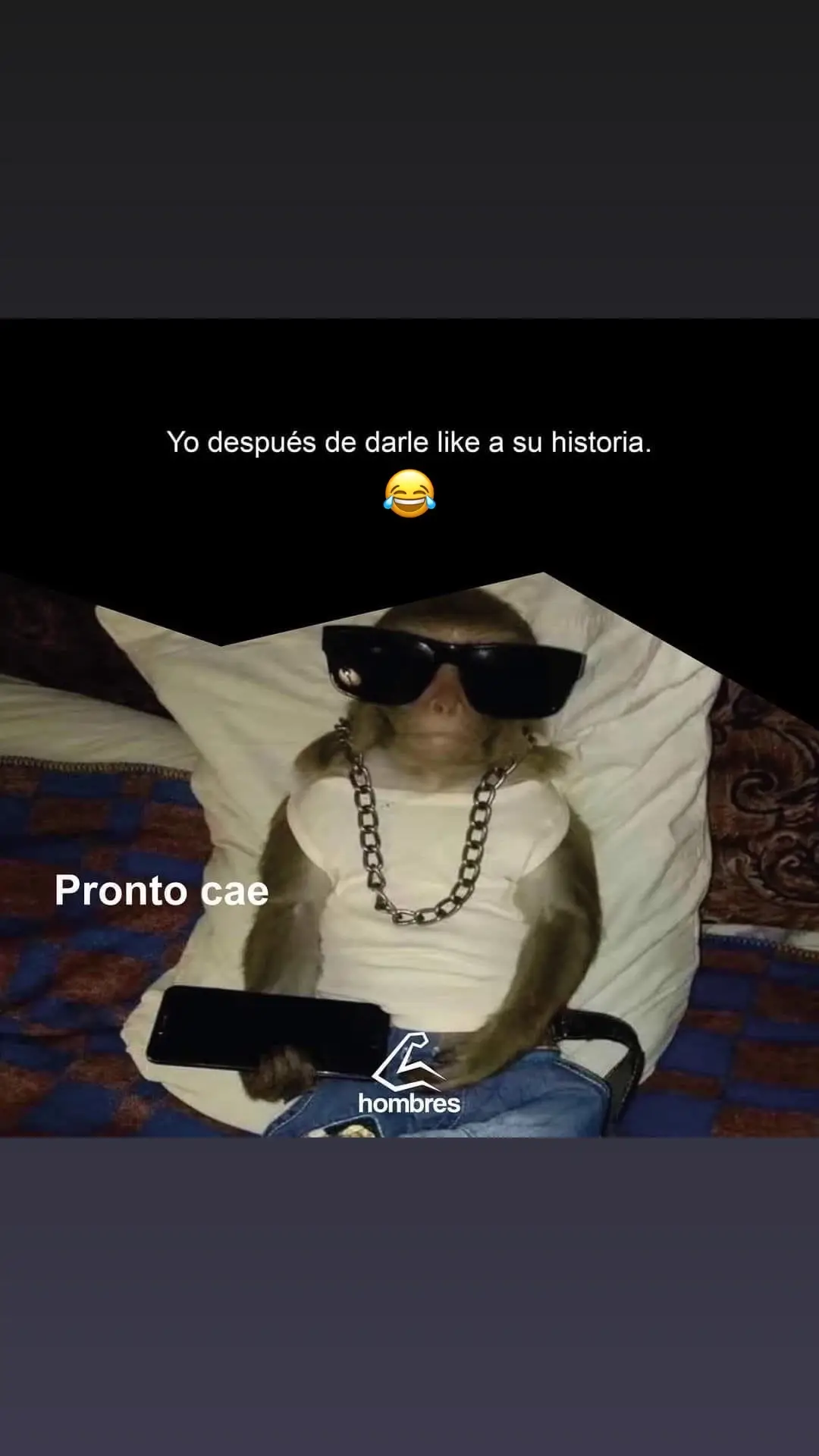 #parati #esther #estherya #estherperel #estheryu #reportero #reporte #changoleon #mono29news #monkey #cae #caesarsalad #monito #cadenas #lenteschallenge #pronto #toxicofreefire #perfi #mensajescristianos #reporte #reporterogrosero😂 #foryou #fypage #fypシ 