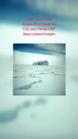#fypシ #projectbluebook ##outofthisworld #extraterrestrial #alien #extraterrestrial #coverup #interdimensional #area51 #tiktak #uap #ufoキャッチャー #ufo #fyp #davidgrusch #congress #topsecret 