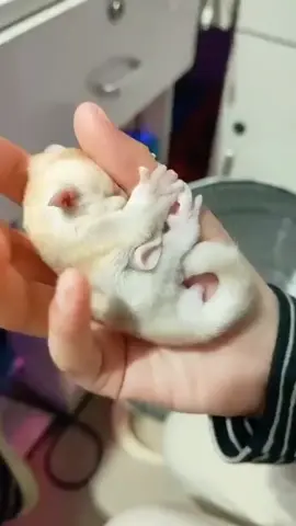 #😍😍😍😍😍❤️❤️❤️ 