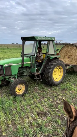 Arrancó muy temprano hoy Preguntale! Recién nos encontramos 😄 . #preguntele #mascotas #viral #perrosgraciosos #perrostiktokers #perrogaucho #perroscamperos #cosasdecampo #campo #perrostrabajadores #jhondeere 