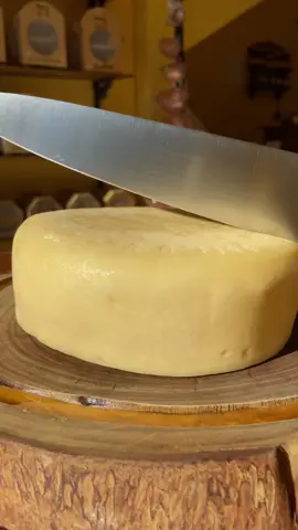 O queijo Minas Artesanal é um tipo de queijo produzido na região de Canastra , em Minas Gerais, Brasil. É feito a partir do leite cru de vaca, com um processo de maturação que pode durar até 90 dias. Possui uma casca dura e textura macia e cremosa. É um queijo muito apreciado pelos brasileiros e pode ser utilizado em diversas receitas culinárias. Famoso queijo Canastra  O queijo Canastra é típico das proximidades do Parque Nacional da Serra da Canastra. A região reconhecida pelo INPI e IPHAN como produtora da iguaria engloba os municípios de Bambuí, Delfinópolis, Medeiros, Piumhi, São Roque de Minas, Vargem Bonita e Tapiraí. #varginha #varginhamg #queijo #minasgerais #tiktok 