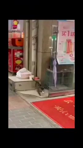 jalan ditempat gerak 🗿#fypシ #fyp #funnyvideos #meme #funnyvideo #funnytiktok 