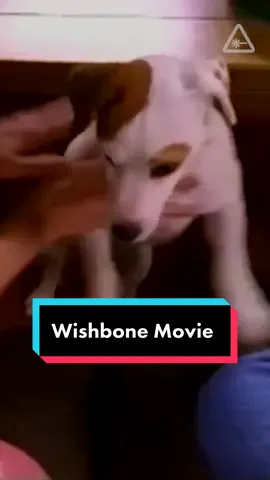 Wishbone and Uno movies on the way #Barbie #Uno #Mattel 
