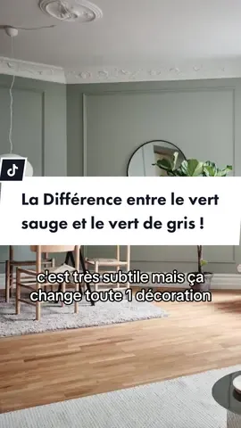 Réponse à @arectos le vert est une couleur très utilisée en décoration ! Mais il y a différentes nuances de vert 🤍 Le vert sauge et vert de gris, ce n’est pas même couleur ! Si tu veux d’autres conseils décoration, ainsi que des astuces pour ton intérieur, abonne toi.💖 #vertdegris #vertsauge #decoverte #peintureverte #conseilpeinture #peintureinterieure #conseildeco #ideedeco #ideepeinture #ideedecoration 