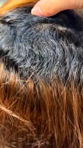pelurus rambut keriting dan galing #pelurusrambutpermanen #tiktokshop #fyp #maskerrambut #pelurusrambut 