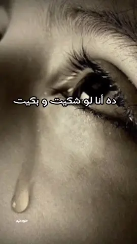 #محمد منير