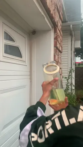 Wasps in gasoline!!! #wasp #gasoline #wasphack 
