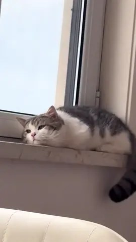☹️