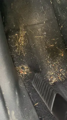 Compamy van full detail #MiniVan #AutoDetailing #Asmr #AsmrDetailing #KochChemie #Mjjc #FoamCannon #Shorts #fyp #Trending #DeepClean #SteamClean #Tornador 