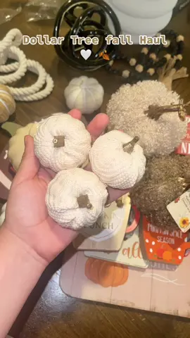 Dollar tree Fall haul obsssed with all the neutral colors 🤍🍂#fyp #parati #foryoupage #fall #housedeco #pumkinspice @Dollar Tree 