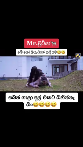 ඇයි බැස්සොත් බැහෙන්නෑ. අනේ පලයං බං🤣🤣🤣#mrචූටියා🐄 #සල්ලිපොකුරු  #fypシ #onemillionaudition #viral #foryou #tiktok #tiktoktrending #tiktoktrending 