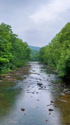 Shhhh. Sound up. Light drizzle of rain over a river in the Virginia mountains. The definition of tranquiltiy. #virginia #mountains #rivers 