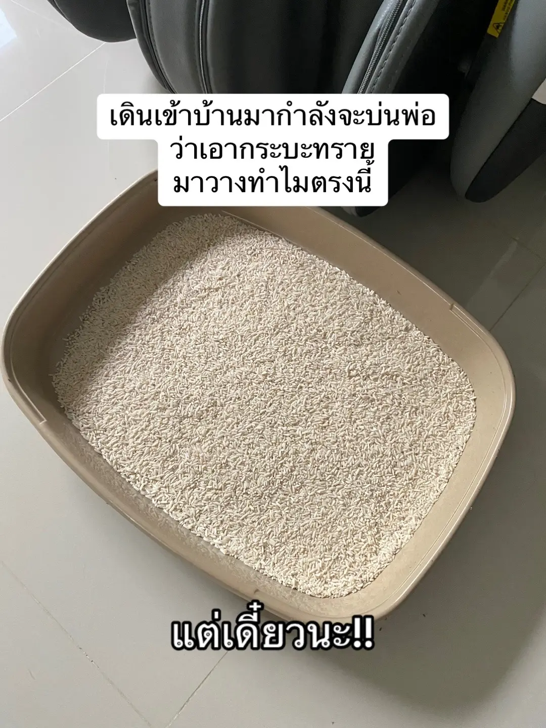 จะอึ้งกับพ่อหรืออึ้งกับข้าวในหม้อก่อนดี🤣 #เรื่องตลก #fyp 