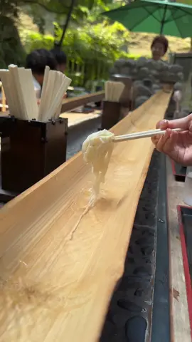 緑に囲まれた庭園で「流しそうめん」をたのしめるお店！10月までやってるから 鎌倉観光の際はぜひ立ち寄ってみて！ ⁡ 「茶屋かど」 (Chaya Kado) ⁡ 📍神奈川県鎌倉市山ノ内1518 (1518 Yamanouchi, Kamakura City, Kanagawa Prefecture) ⁡ #japanesefood #japanfood #japan #tiktokfood ＃神奈川グルメ