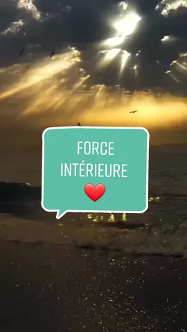 C'est dans les moments les plus difficiles que tu découvres ta véritable force intérieure 🙏   #bonheur #citation #stefereve #force #forceintérieure #coucherdesoleil  #tempete #devperso #calme  #citationdujour  #motivation #etresoi #affirmations #inspiration #remiseenquestion 