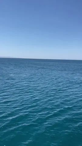 #didimaltınkum #tatil #tekneturu #story 