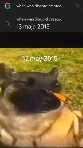 #discord #meme #dog 