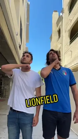 My home My rules @lionfield 