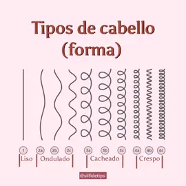 Tipos de cabello: liso. Inspo:@sof0106 #fypシ゚viral #cabello #liso #cabelloliso #tiposdecabello  #tiktokponemeenparati 