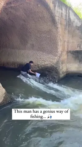 I thought fishing was hard😅😂🤣. This must be the easiest way to catch fish💯👌. People go out for hours to have a great time, this guy can do it all in minutes💪. #catfishfishing #wels #welsangeln #waller #adventure #nature #fis #monsterfish #bigfish #silure #siluro #fish #fishing 