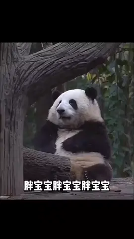 #paternity
