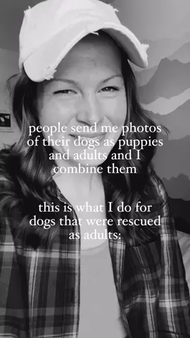 I’ve done a lot of @Seeing Double Edits for dogs that were rescued recently and it’s been really fun to challenge myself in new ways “creating” these puppy versions.  #fyp #foryou #digitalartist #womanownedsmallbusiness #transformationchallenge #dogtok #rescuedogs 