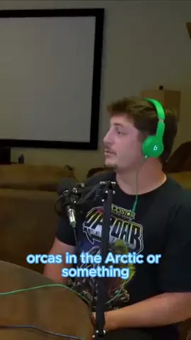 Orcas are truly incredible #podcast #fy #fyp #foryou #nothingbutnonsense #orca #animals 