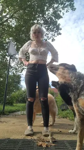 featuring da dogs 