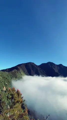 Yahh its true! Gunung Bialo 2300 Mdpl #fypシ #jenepontoturatea #pendakiwanita #pendakiwanitaindonesia #pendakiwanitaberhijab 