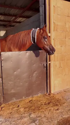 ودي اقضي عمري الباقي معاك 🧡. @