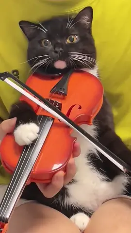 🎻