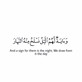 #كرومات_شاشه_بيضاء #صدقه_جاريه #اجر_لي_ولكم #قرآن #اكتب_شي_توجر_عليه #اكسبلور #muslim #quran #fouryou #viral #fyp #explore @القرآن الكريم @القرآن الكريم @القرآن الكريم 