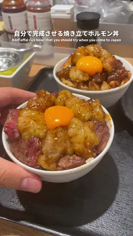 👇店舗詳細 【店名(StoreName)】 天神ホルモン Tenjin-horumon 【場所(Place)】 福岡県 博多 Fukuoka Prefecture, Fukuoka City, Hakata Ward, Hakata Station Chuo-gai 1-1 B1 Hakata First Avenue 【メニュー(Menu)】 サガリ&国産丸腸定食 ¥1,980(税込) 丸腸ホルモン定食 ¥1,680(税込) 今回は福岡にあるホルモン定食専門店に行ってきたよ！目の前の鉄板で豪快に焼き上げてくれた熱々のホルモンを自分でご飯に乗せて、セットでついてる卵を乗せたらホルモン丼の完成！めっちゃ美味しいから行ってみて！ This time, I went to a restaurant specializing in hormone set meals in Fukuoka! Put the piping hot offal that is grilled on the iron plate in front of you on the rice yourself, and put the egg that comes with the set on top, and the offal bowl is complete! It's super delicious, so go try it! #グルメ大学 #japanfood #japanesefood #福岡グルメ #博多グルメ #fukuoka #fukuokafood #hakatafood #天神ホルモン 