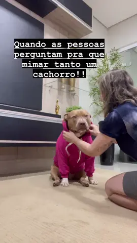 Explicar pra que ? #fy#foryou#foryoupage#viral#pitbull#dog#pet#animaisnotiktok#tiktok#dublagem #viralvideo#fyp#fpy#fypシ゚viral#fyy 