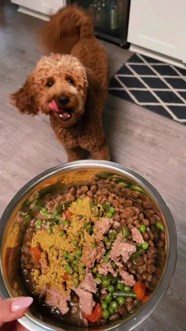 Only the best for my little whiskey boy 🐶🐾 #nativepet #naturaldogfood #homemadedogfood #puppy #dog #goldendoodle