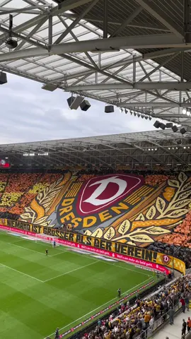 Saisonauftakt in Dresden! 🖤💛 #football #dresden #dynamodresden #ultrasdynamo #3liga #zeigtsuns #rhs #sgddsc #saisonauftakt #seasonopener #kblock 