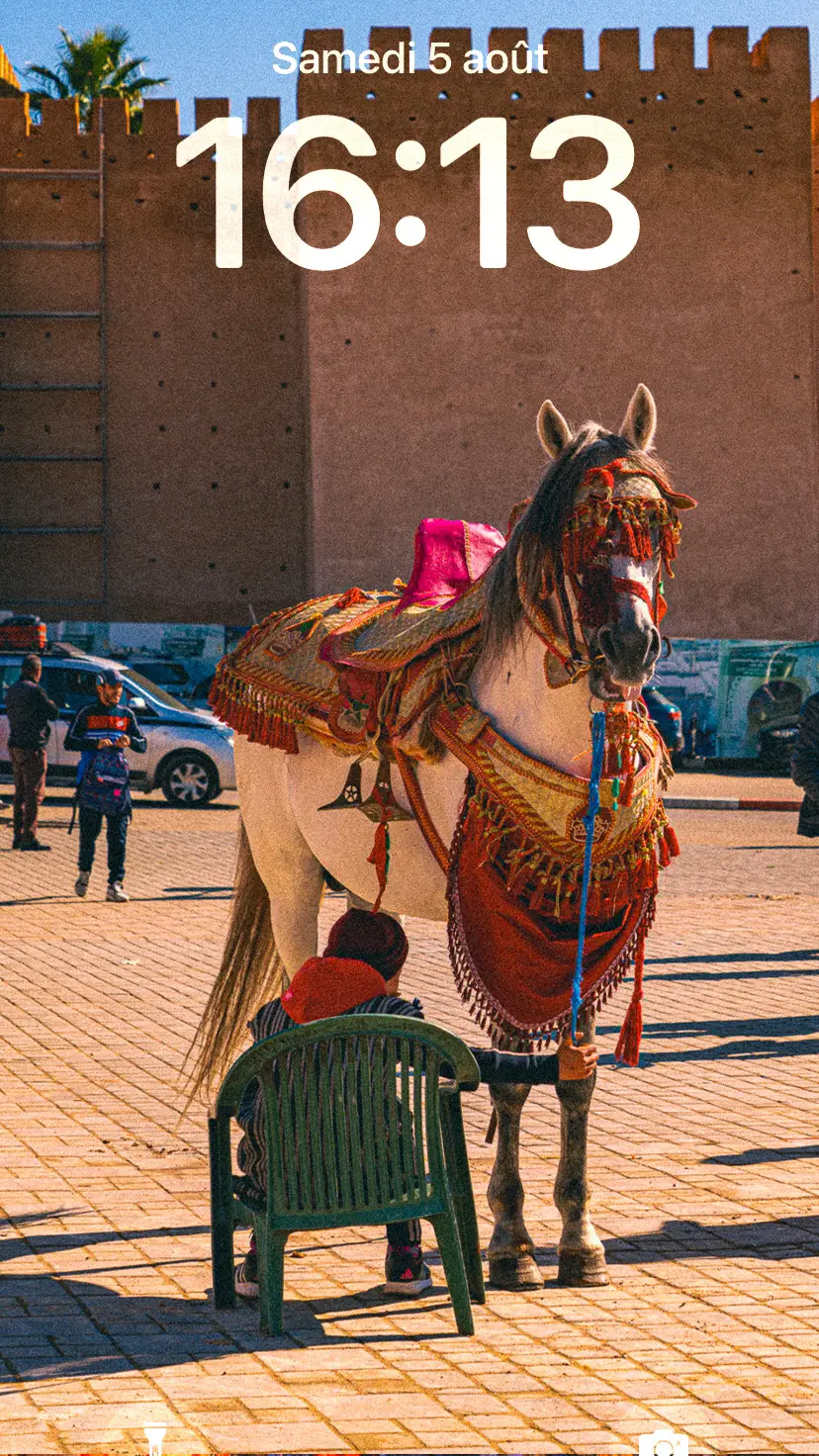 Fonds d’ecran special Maroc 🇲🇦#pourtoi #fyp #wallpaper #fonddecran 