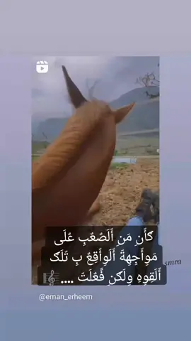 #الخيل_عشق 