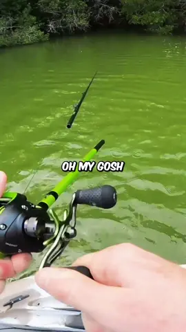 My man had a rough day 😂  #fishing #bassfishing #duck #pond #fish #fyp #kickintheirbasstv 
