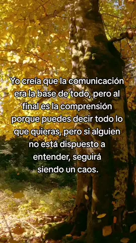 yo creía que la comunicación era la base de todo, pero al final es la comprensión porque puedes decir todo lo que quieras, pero si alguien no está dispuesto a entender, seguirá siendo un caos. #responsabilidadafectiva #Relationship #amor #fouryou #relacióndepareja #mujeresqueinspiran #merezcoserfeliz #reflexiones #feliz #conamor #compromiso #amorpropio 
