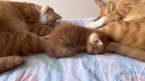 🥰